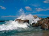 ���������